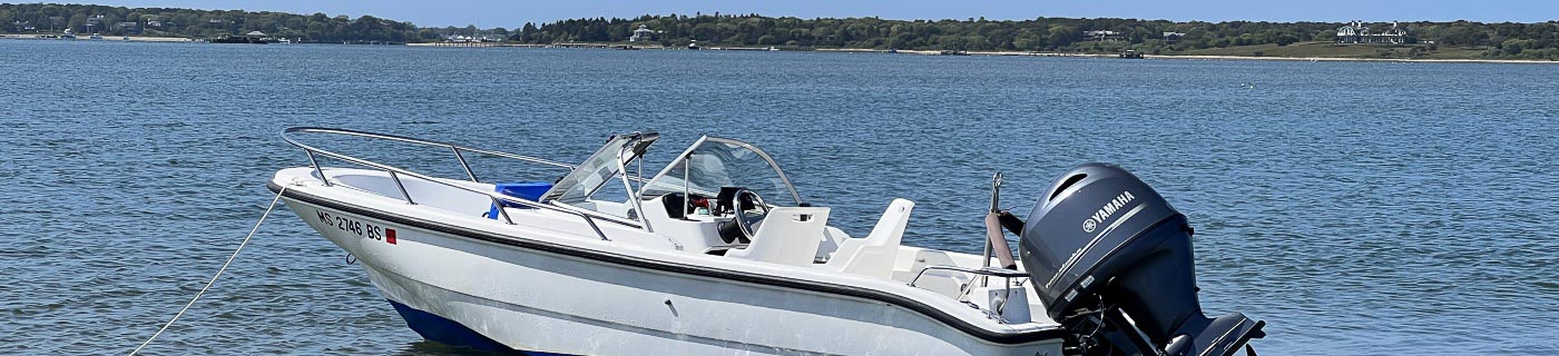 Boston Whaler IMG_6404 1400x320 BW Ventura